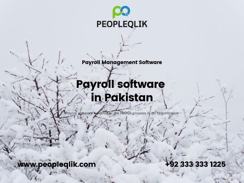 Payroll software in Pakistan