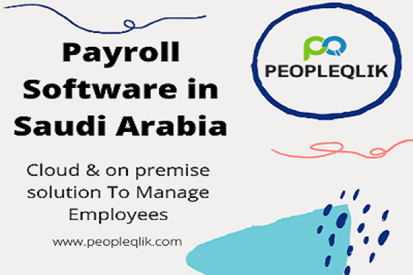 Viability of HR Software in Saudi Arabia for Small Business to Manage Your Finances Efficiently 