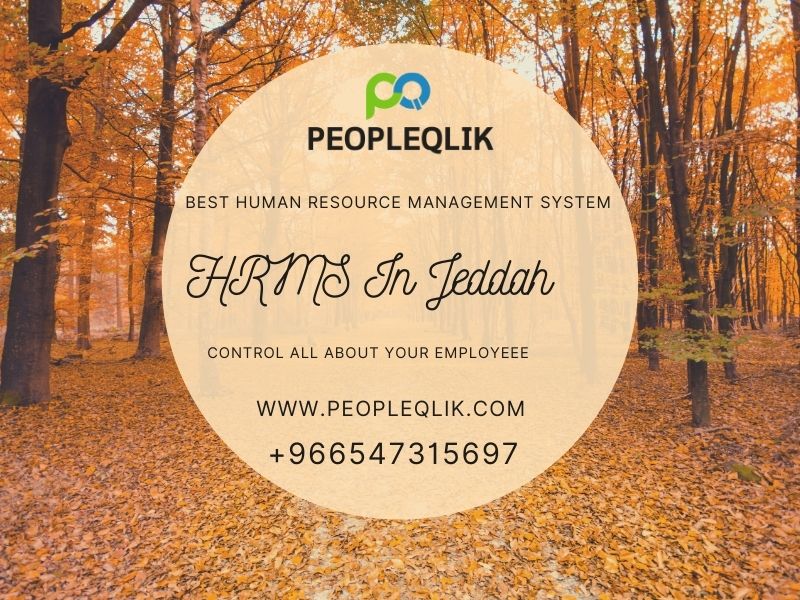 HRMS In Jeddah Provide A Branch Transfer